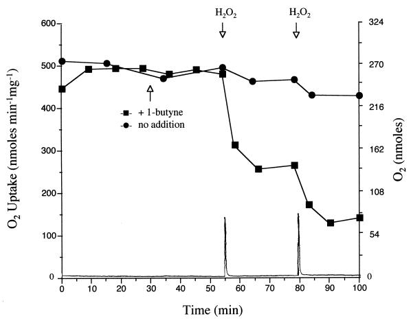 FIG. 5