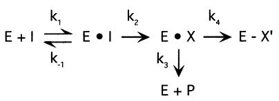 FIG. 7