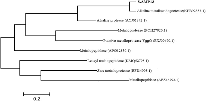 Fig. 11