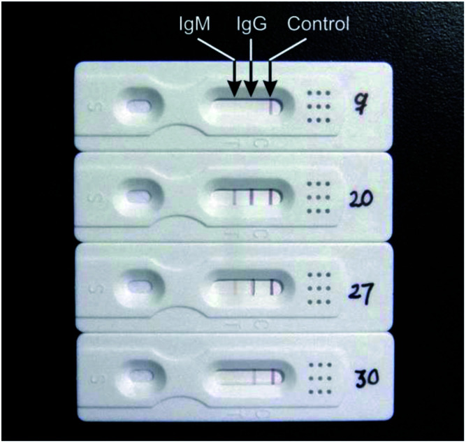 Fig. 2