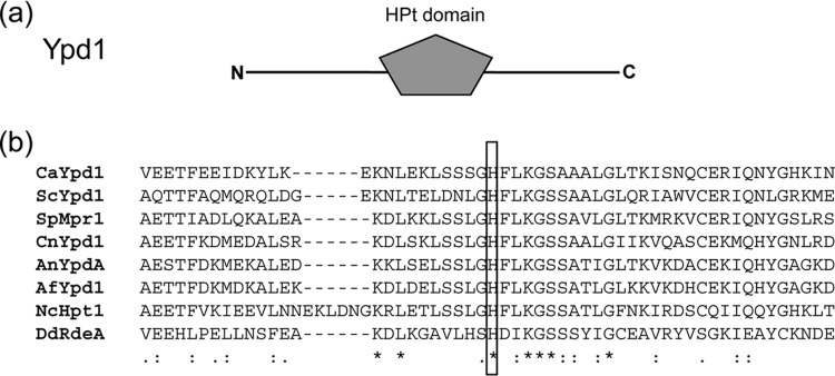 FIG 1