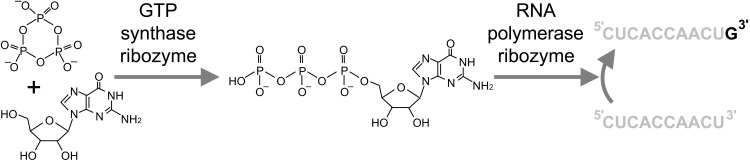 Fig. 1.