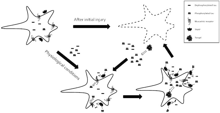 Fig. 2