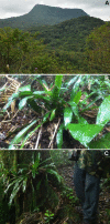 Fig 11