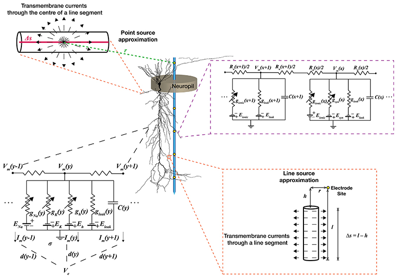 Fig. 4