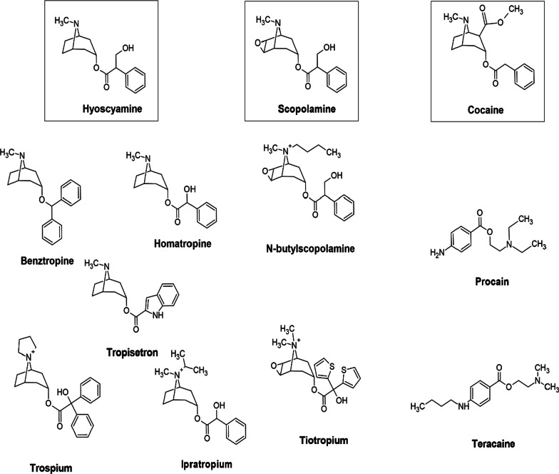 Fig. 5