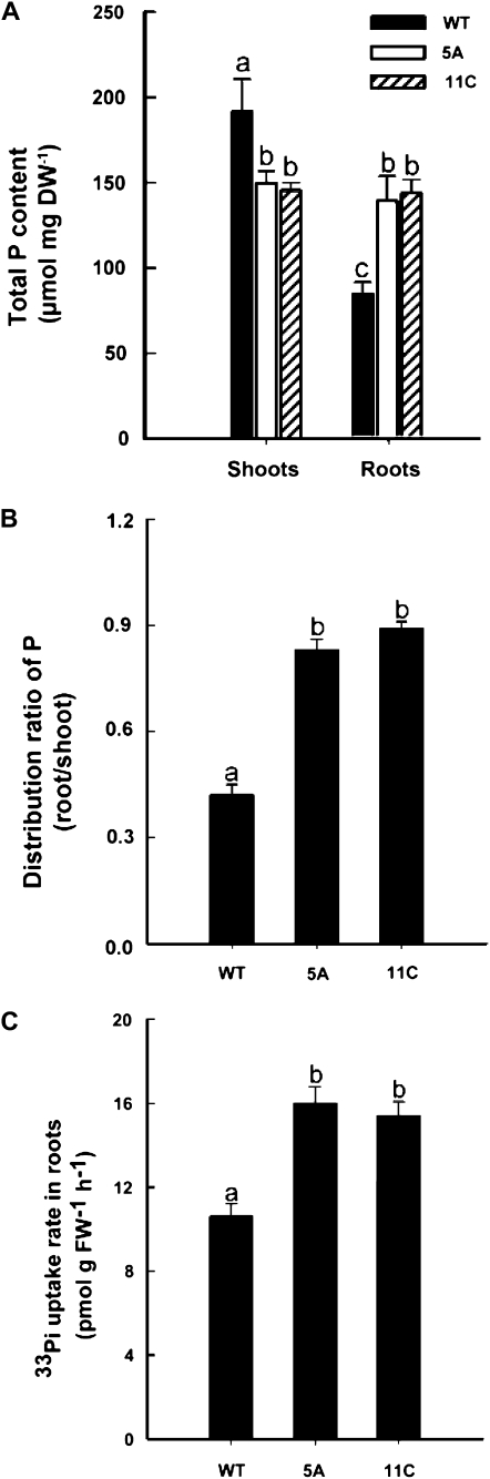 Figure 6.