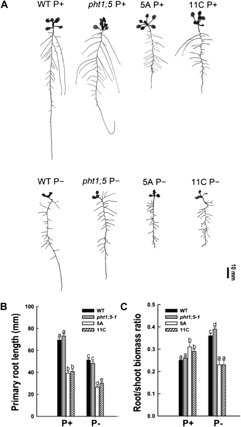 Figure 9.