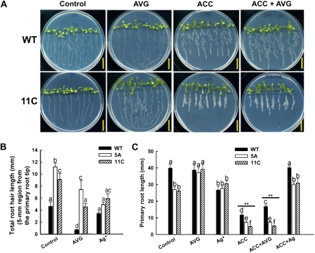 Figure 10.