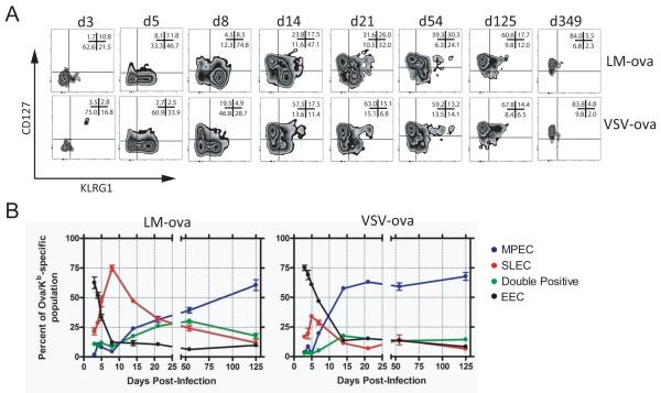 Pathogen Induced Inflammatory Environment Controls Effector And Memory 