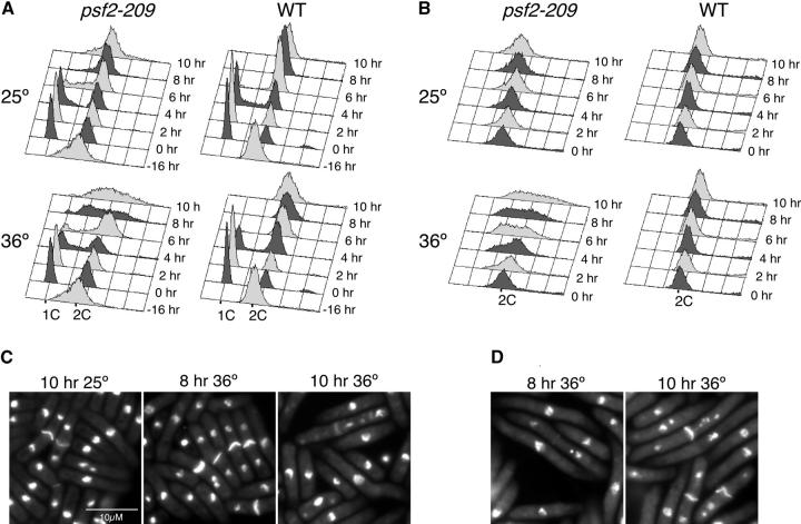 Figure 5.—