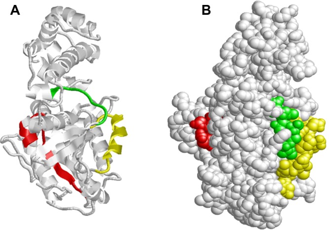 Figure 10