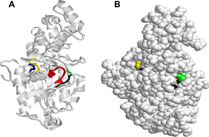 Figure 11