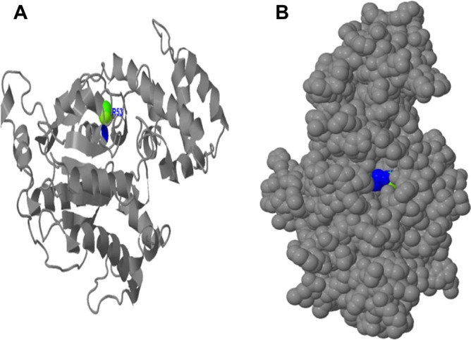 Figure 12