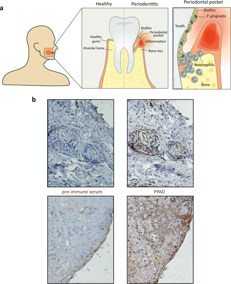 FIG 1