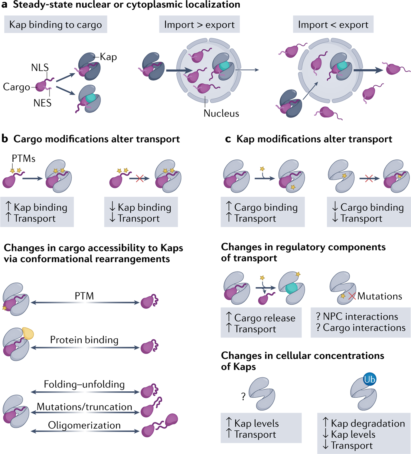 Fig. 4 |