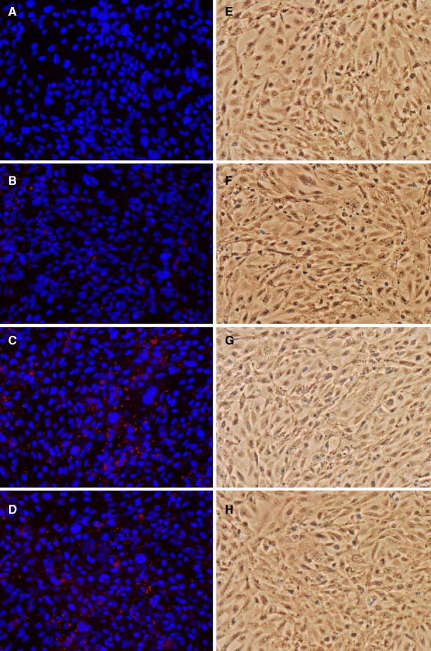 Fig. 7