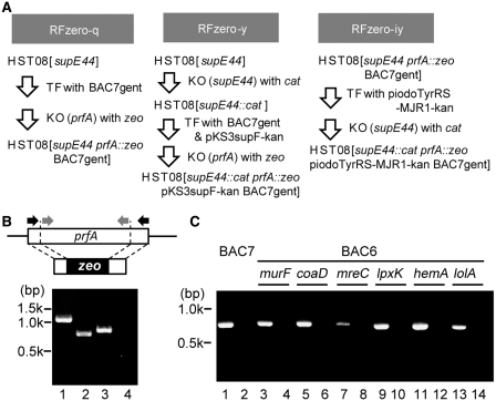 Figure 3.