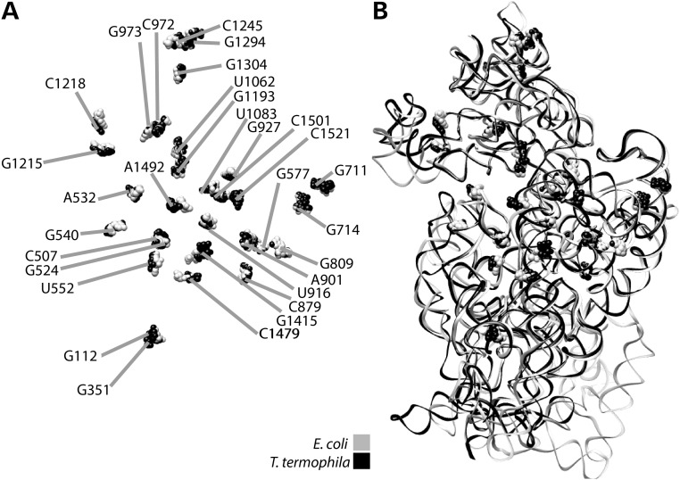 Figure 4.