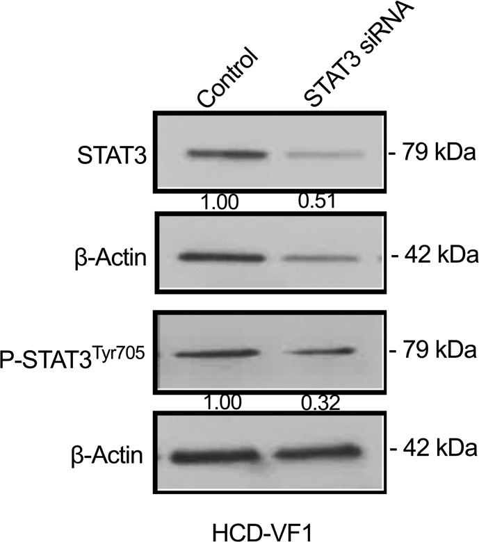 Figure 4F