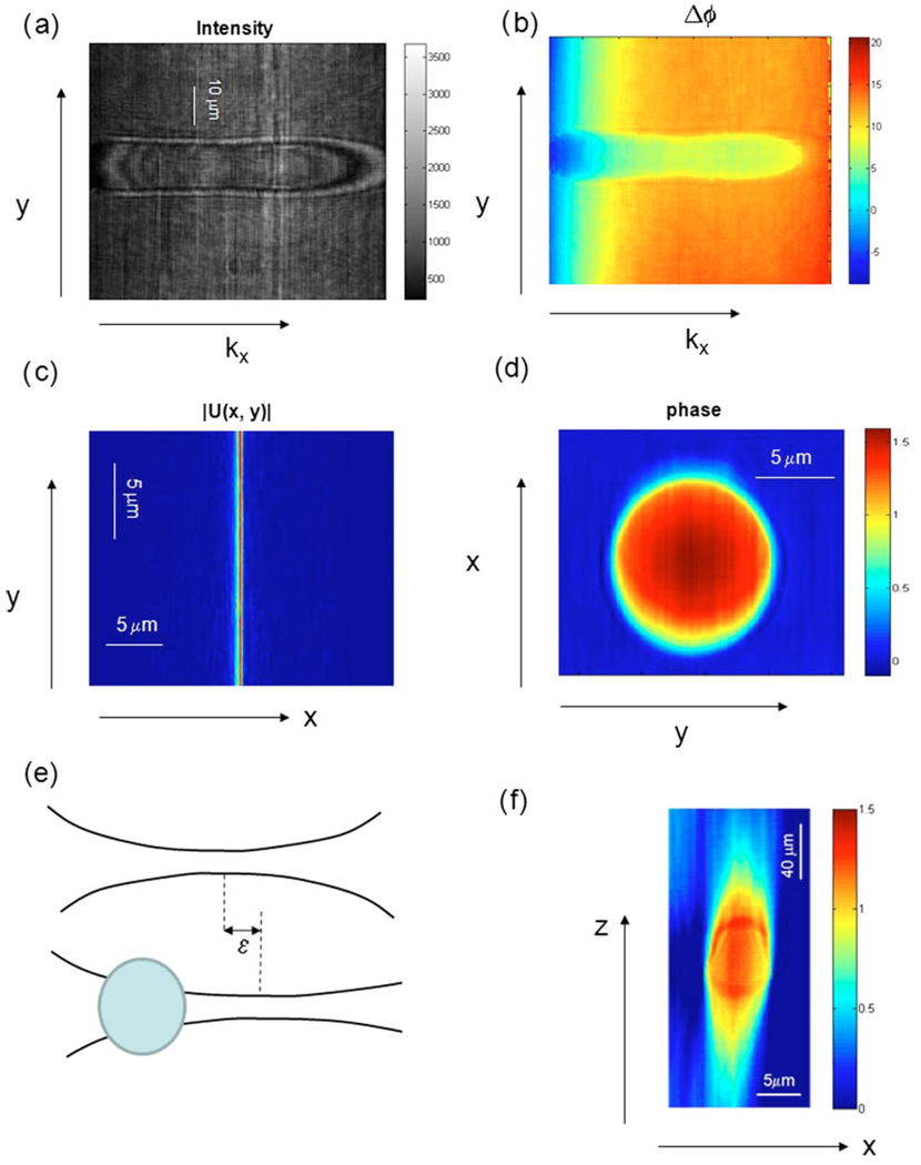 Fig. 2