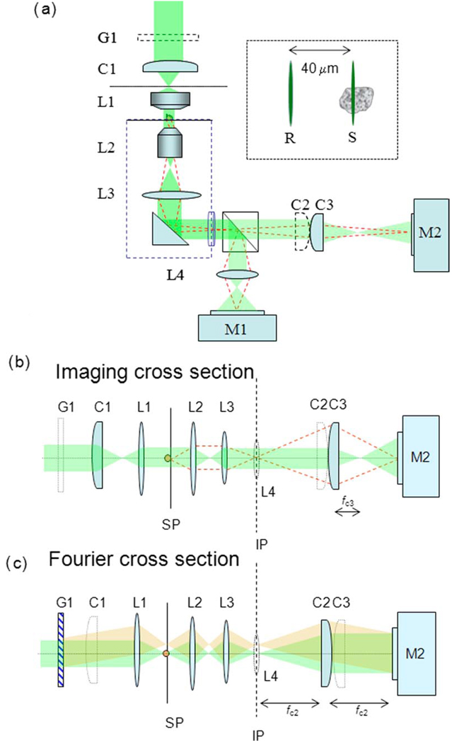 Fig. 1