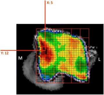 Fig. 3