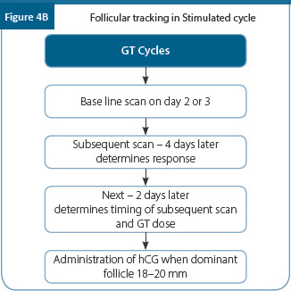 Figure 4B