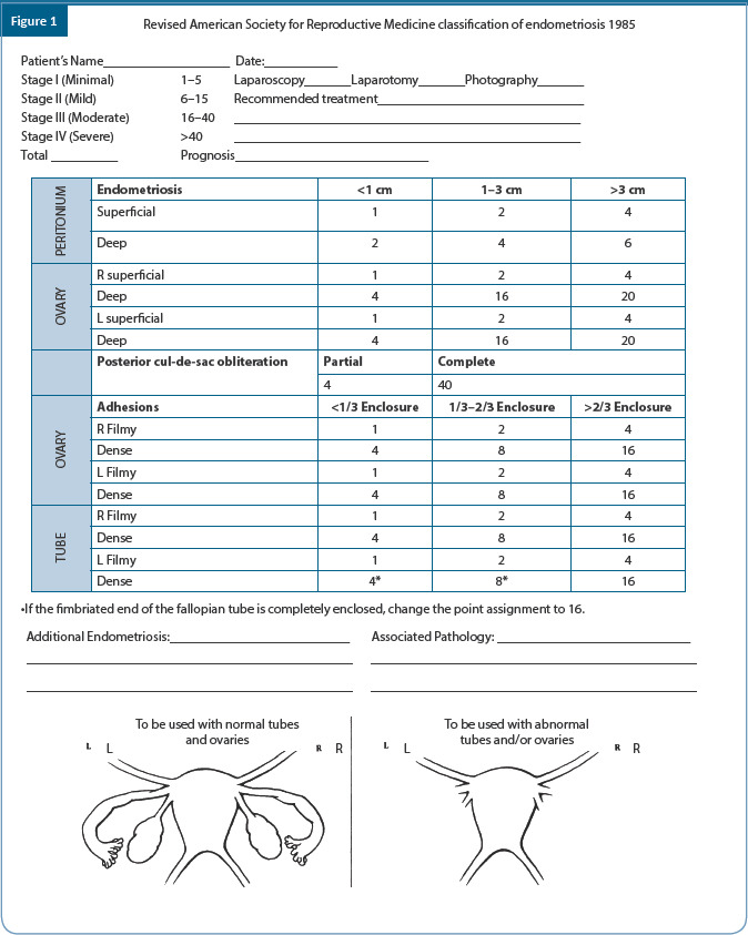 graphic file with name JHRS-17-1-g047.jpg
