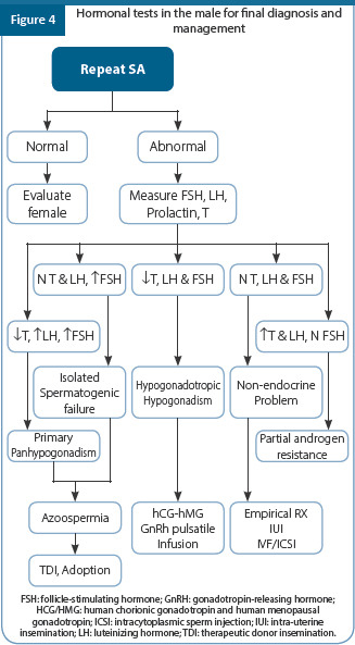 graphic file with name JHRS-17-1-g004.jpg