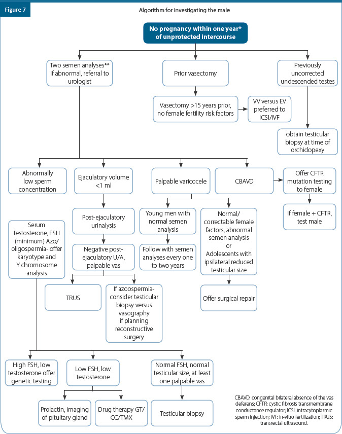 graphic file with name JHRS-17-1-g007.jpg