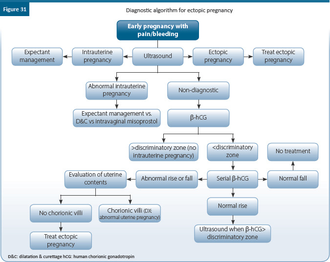 graphic file with name JHRS-17-1-g038.jpg