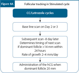 Figure 4A