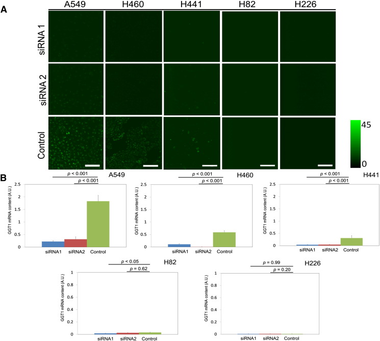 Figure 3