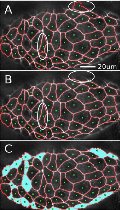 Figure 2