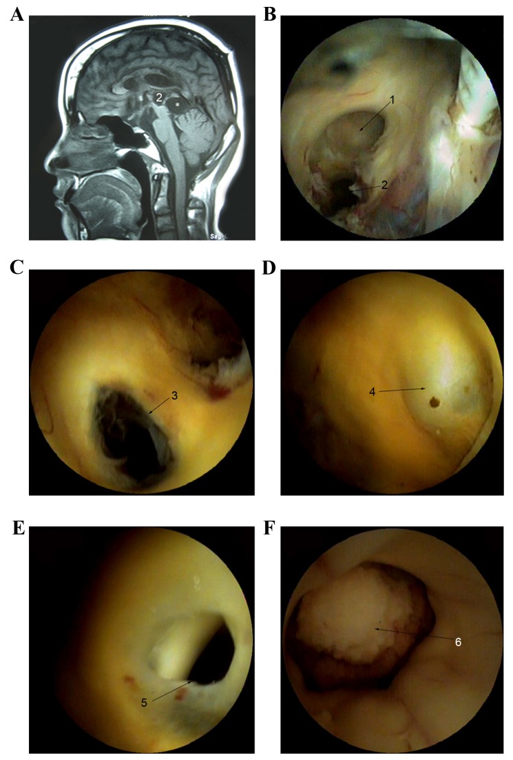 Figure 2.