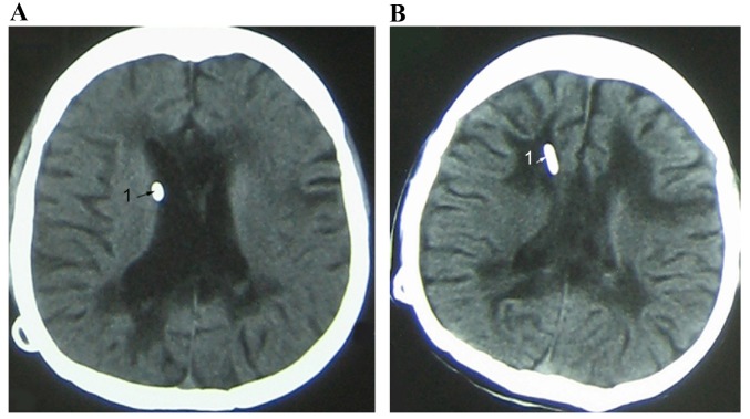 Figure 4.