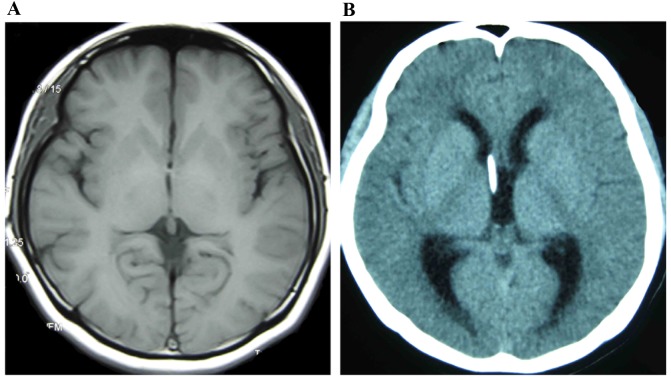 Figure 3.