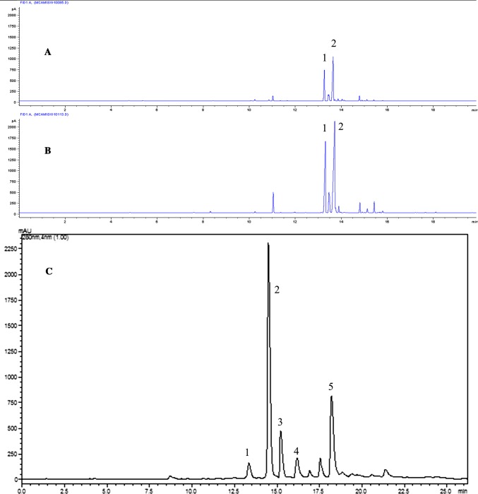 Fig. 1