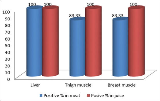 Figure-1