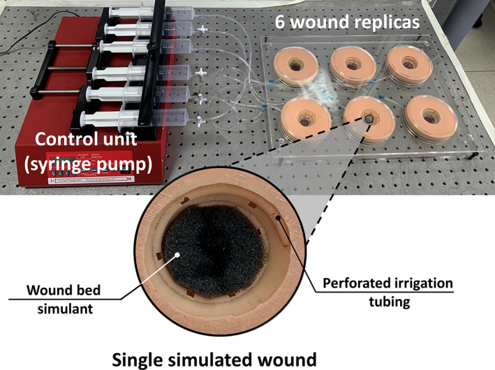 FIGURE 1