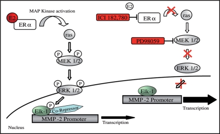 Figure 6