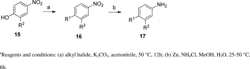 Scheme 2