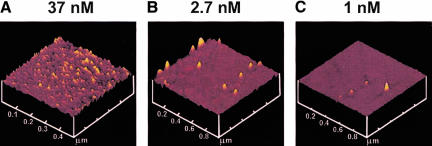 FIGURE 1.