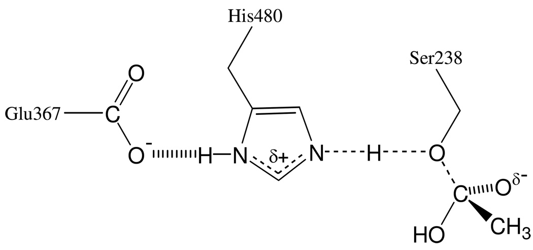 Scheme 3