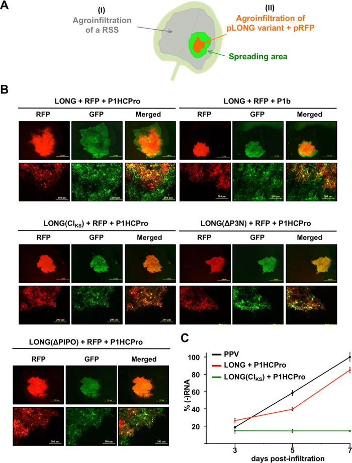 FIG 6