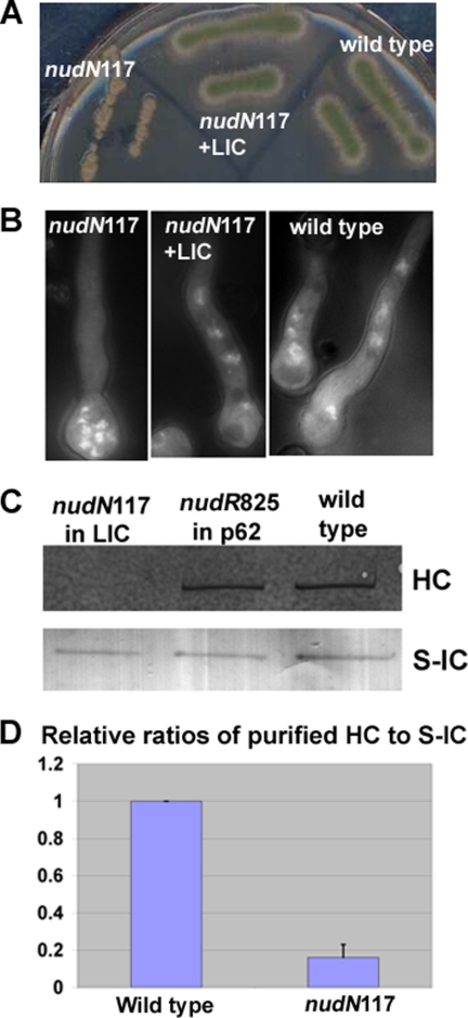 FIGURE 4.