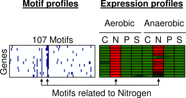 Fig. 12