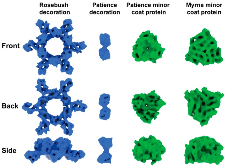 Figure 5