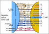 Fig 4.